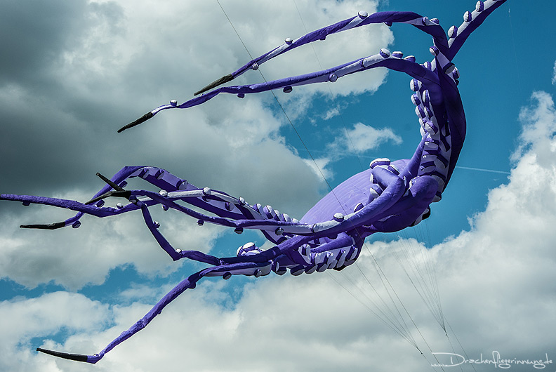 bild011