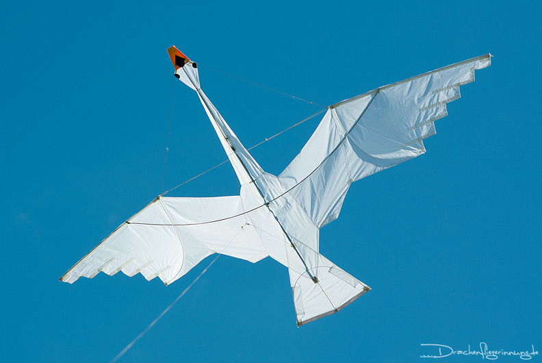 bild020
