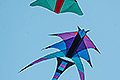 bild004