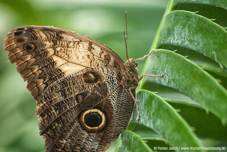 bild020