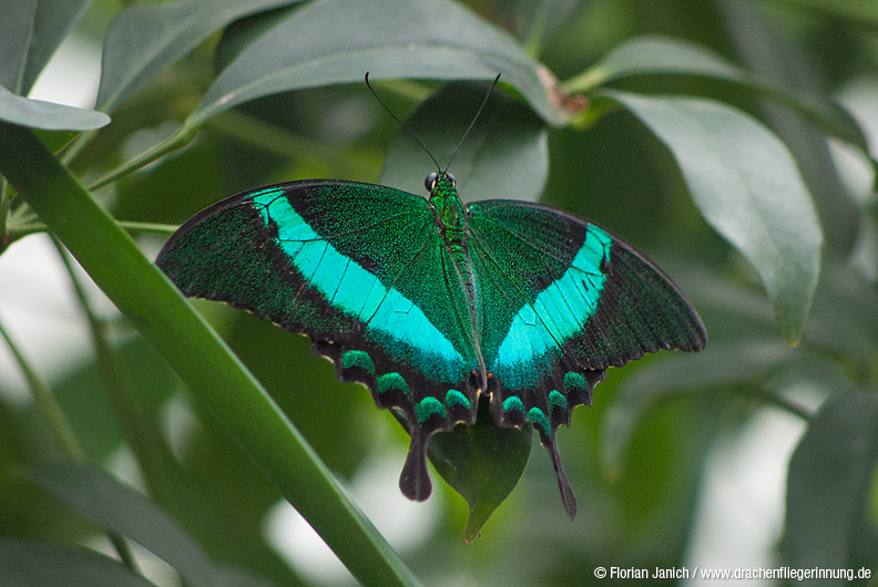bild021