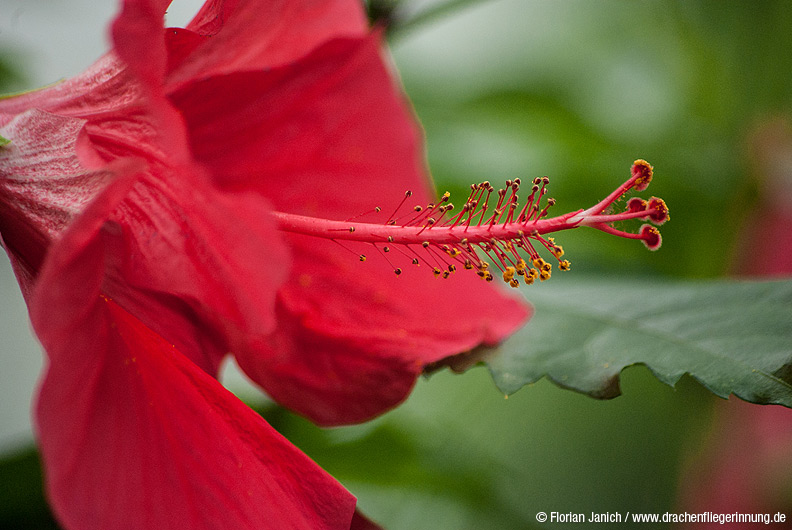 bild022
