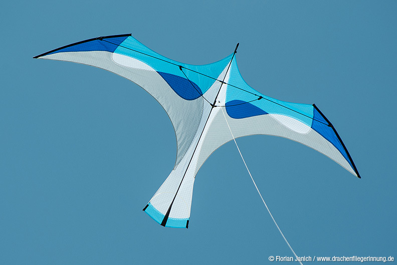 bild117