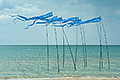 bild003