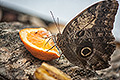 bild019