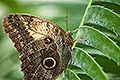 bild020