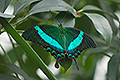 bild021