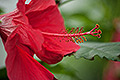 bild022