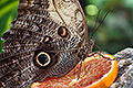 bild025