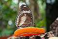 bild027