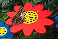bild029