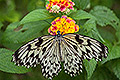 bild035