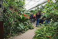 bild037