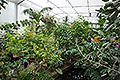 bild038