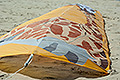 bild067