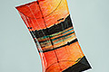 bild078
