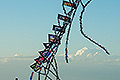 bild102