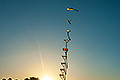 bild104