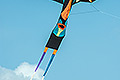 bild113