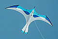bild117