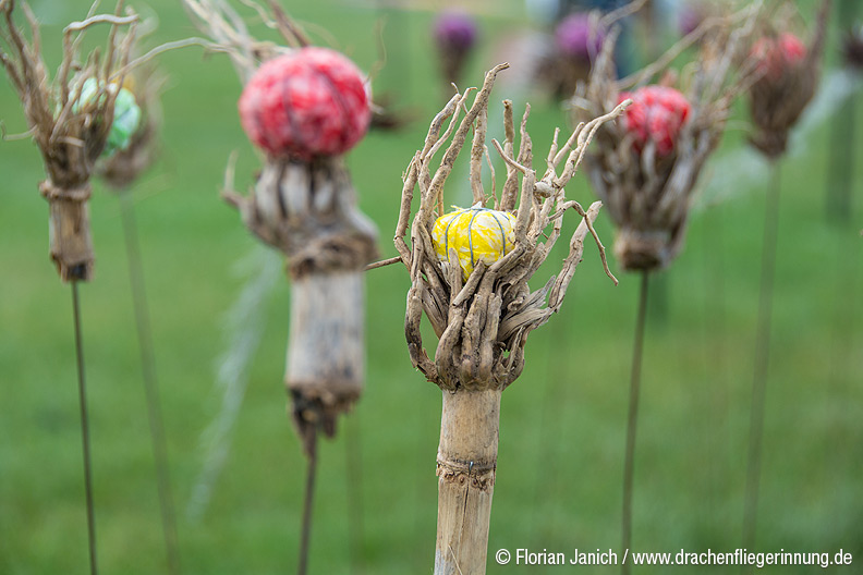 bild089