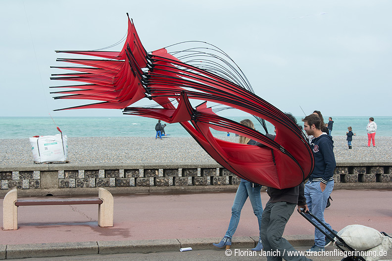 bild099