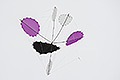 bild009