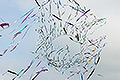 bild059