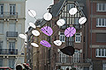 bild083