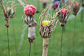 bild089