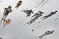 bild091