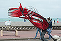 bild099