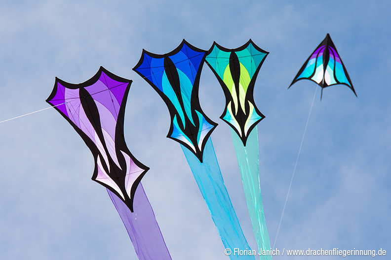 bild015