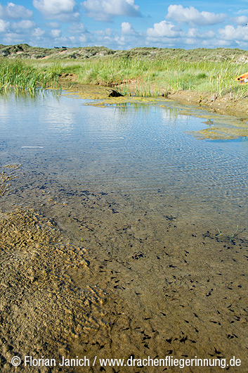 bild092