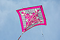 bild084