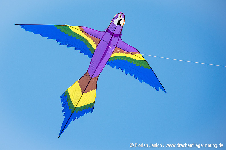bild024
