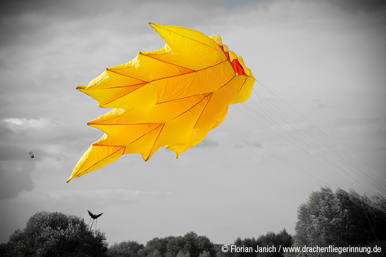 bild012