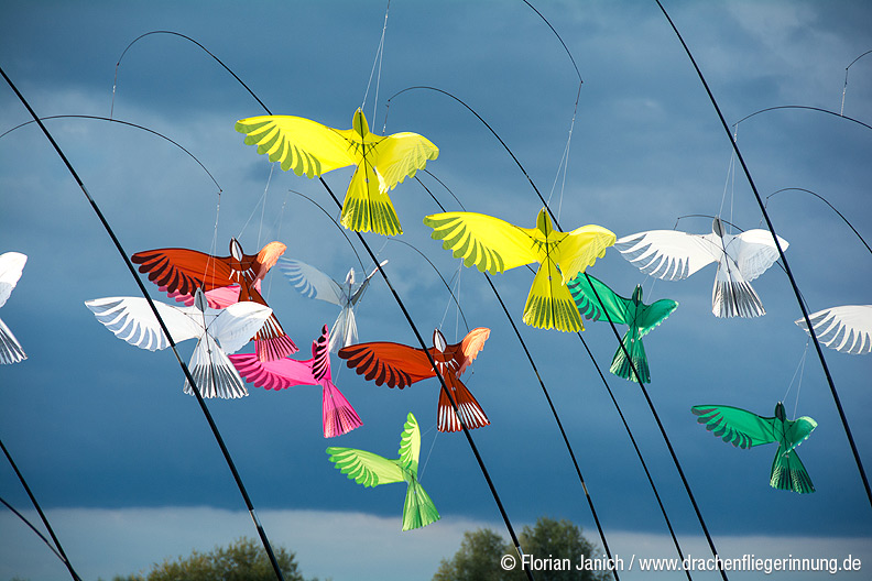 bild025