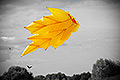 bild012