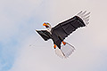bild027