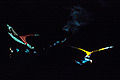 bild046