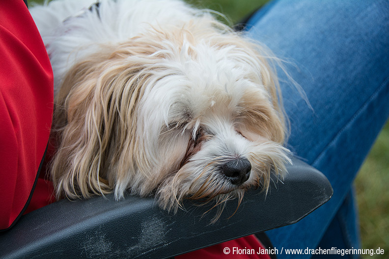 bild022