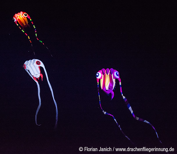 bild063