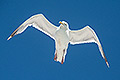 bild008