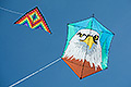 bild042