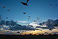 bild078