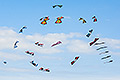 bild114