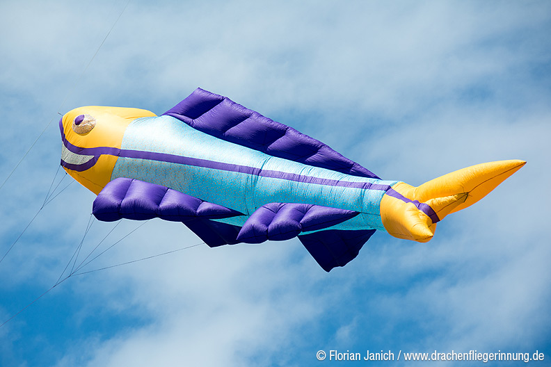 bild031