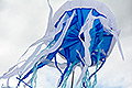 bild017