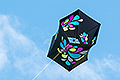 bild075